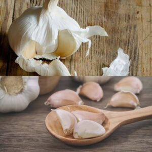 Garlic, A Nigerian food to cure premature ejaculation